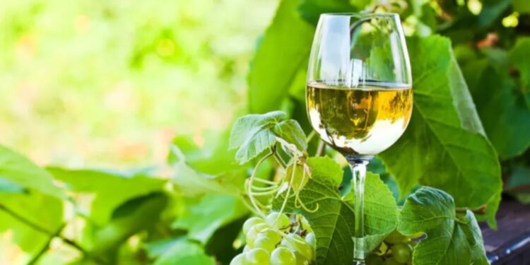 Vinhos Verdes estimam produção ao nível de 2023 de 90 milhões de litros