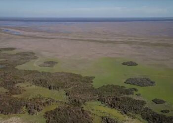 Lagoas permanentes de Doñana extinguiram-se
