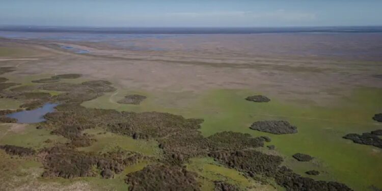 Lagoas permanentes de Doñana extinguiram-se