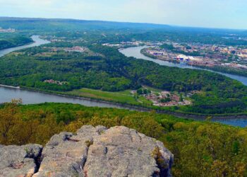 Assassino finge ataque de urso para encobrir homicídio de caminhante