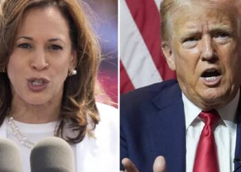 EUA: O olhar da comunidade portuguesa no Mineola sobre as eleições