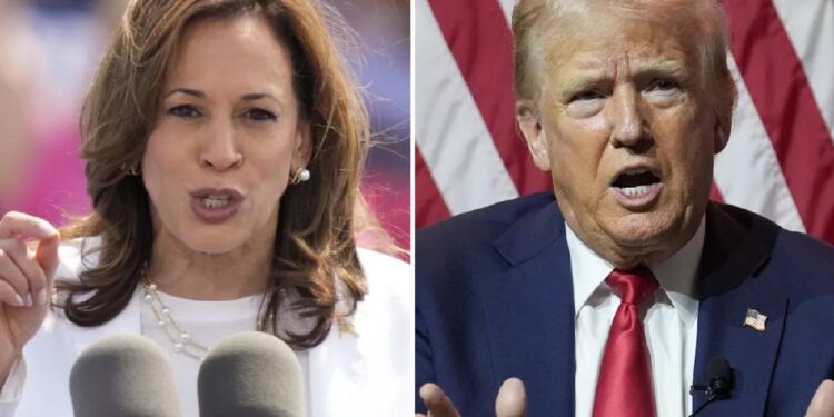 EUA: O olhar da comunidade portuguesa no Mineola sobre as eleições 11 EUA: O olhar da comunidade portuguesa no Mineola sobre as eleições