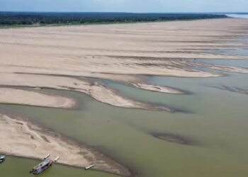 Principais rios da Amazónia brasileira estão em mínimos históricos
