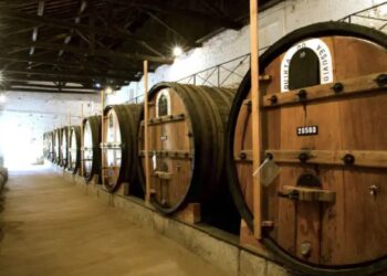 Património Mundial: Caves do Vinho do Porto fora da lista de candidaturas