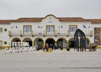 Bilhetes para o Festival Nacional de Gastronomia à venda online