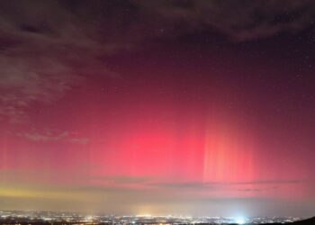 Fotografia por Carlos Gouveia @cmsgouveia