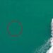 Drone filma tubarão "inesperado" em Vigo. Veja as imagens