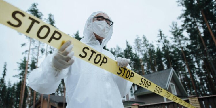 Crânio encontrado numa garagem em França (embrulhado em jornal de 1967)