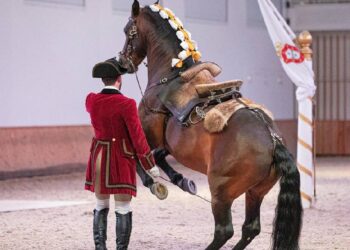 Arte Equestre Portuguesa propõe-se a Património Imaterial da Humanidade 20 Arte Equestre Portuguesa propõe-se a Património Imaterial da Humanidade