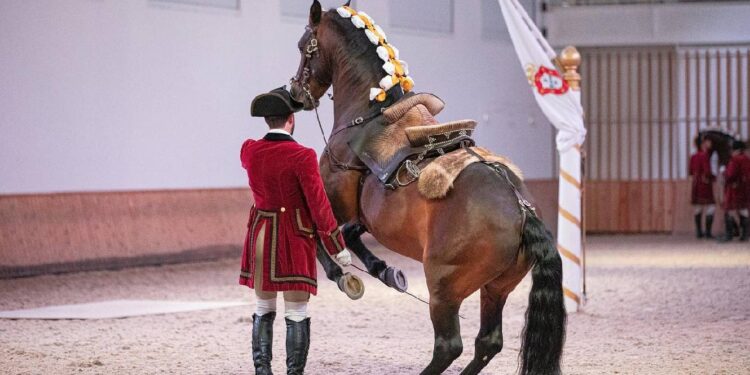 Arte Equestre Portuguesa propõe-se a Património Imaterial da Humanidade