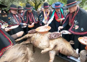 Real Confraria da Matança do Porco recria gastronomia tradicional em Miranda do Corvo 17 Real Confraria da Matança do Porco recria gastronomia tradicional em Miranda do Corvo