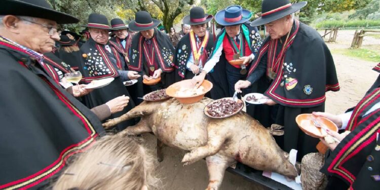 Real Confraria da Matança do Porco recria gastronomia tradicional em Miranda do Corvo